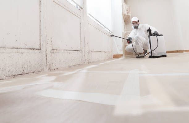 24/7 Emergency Black Mold Remediation experts in Palmetto, GA