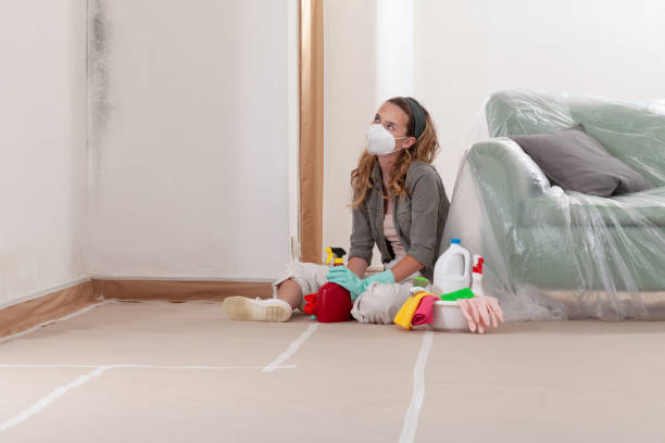 Reliable Black Mold Remediation contractor in Palmetto, GA by 24 Hour Mold Removal